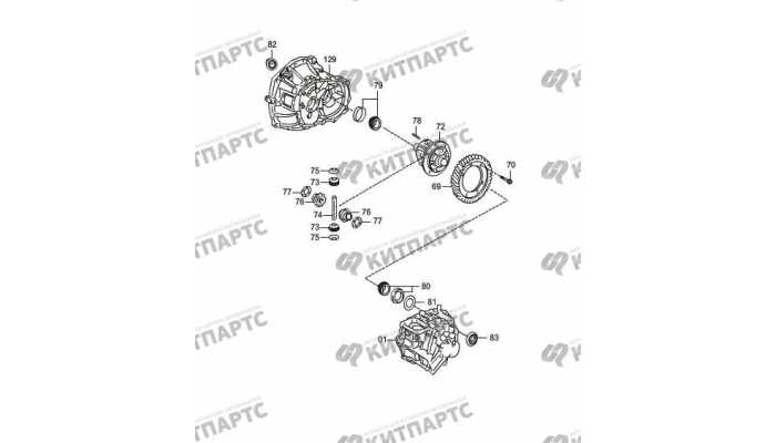 (MT) differential mechanism sub-assembly FAW Oley